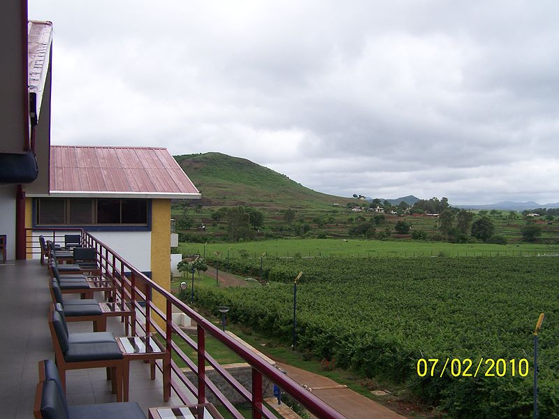Sula vineyard